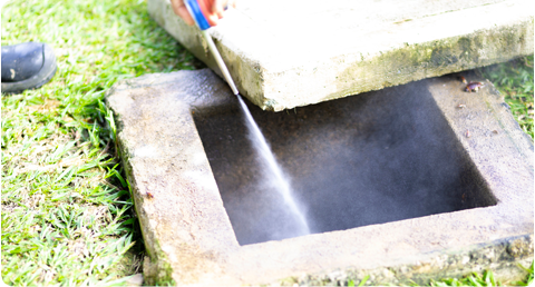 Servicio de fumigación Boca del Río